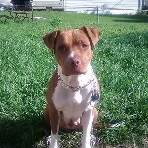 Meet your Posher, Jeff